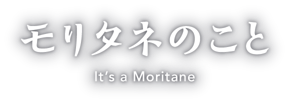モリタネのこと